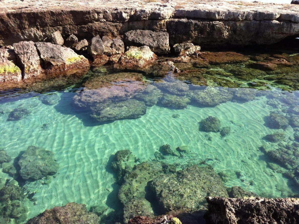 莫诺波利La Baita Sul Mare公寓 外观 照片